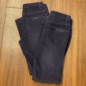 2 Pairs of Crewcuts Stretch Cords in Dark Blue